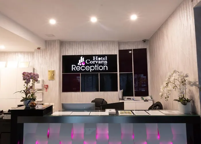 科维沃斯酒店 酒店